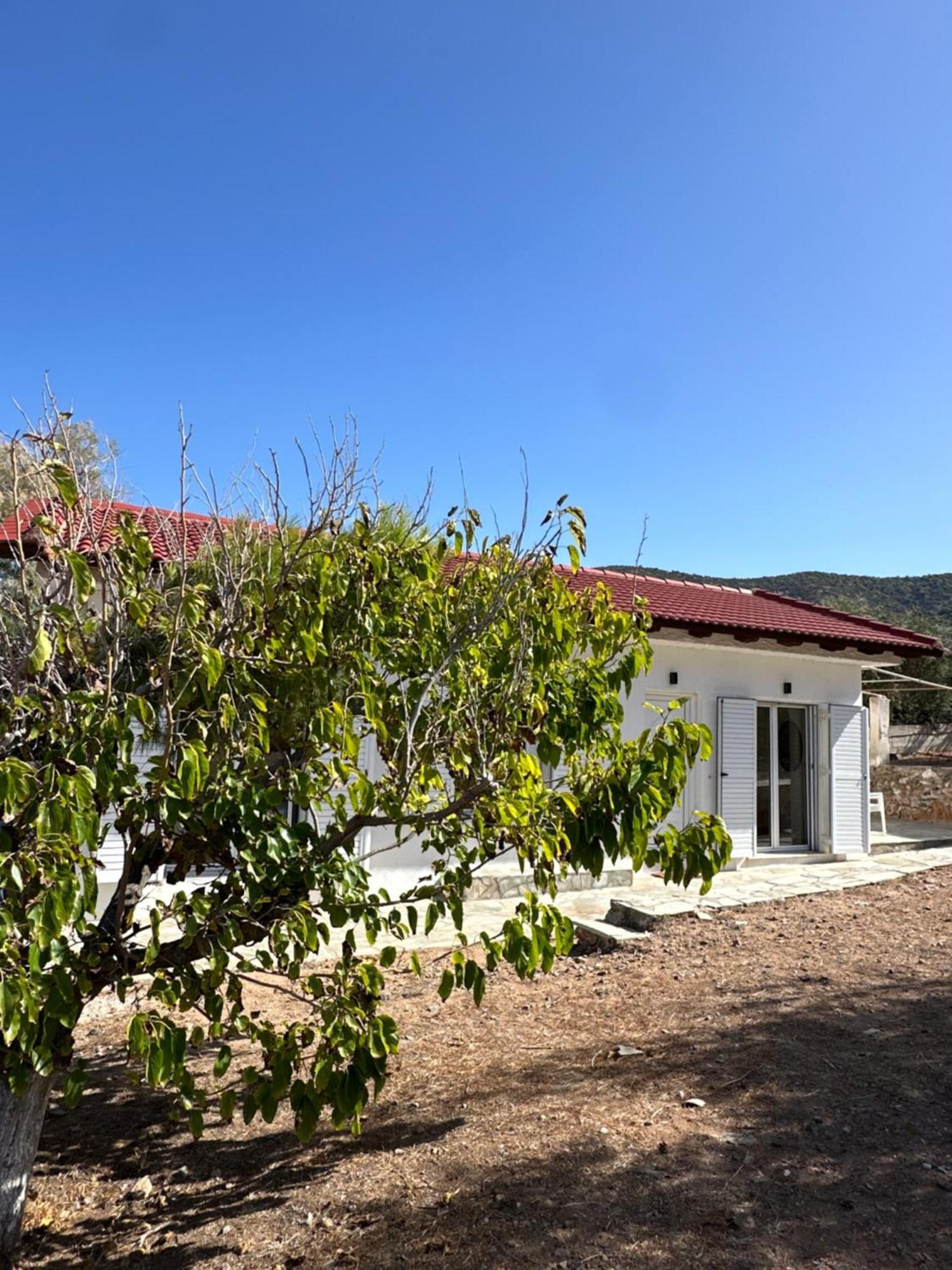 Coast Cottage Porto Rafti-Avlaki Exterior photo